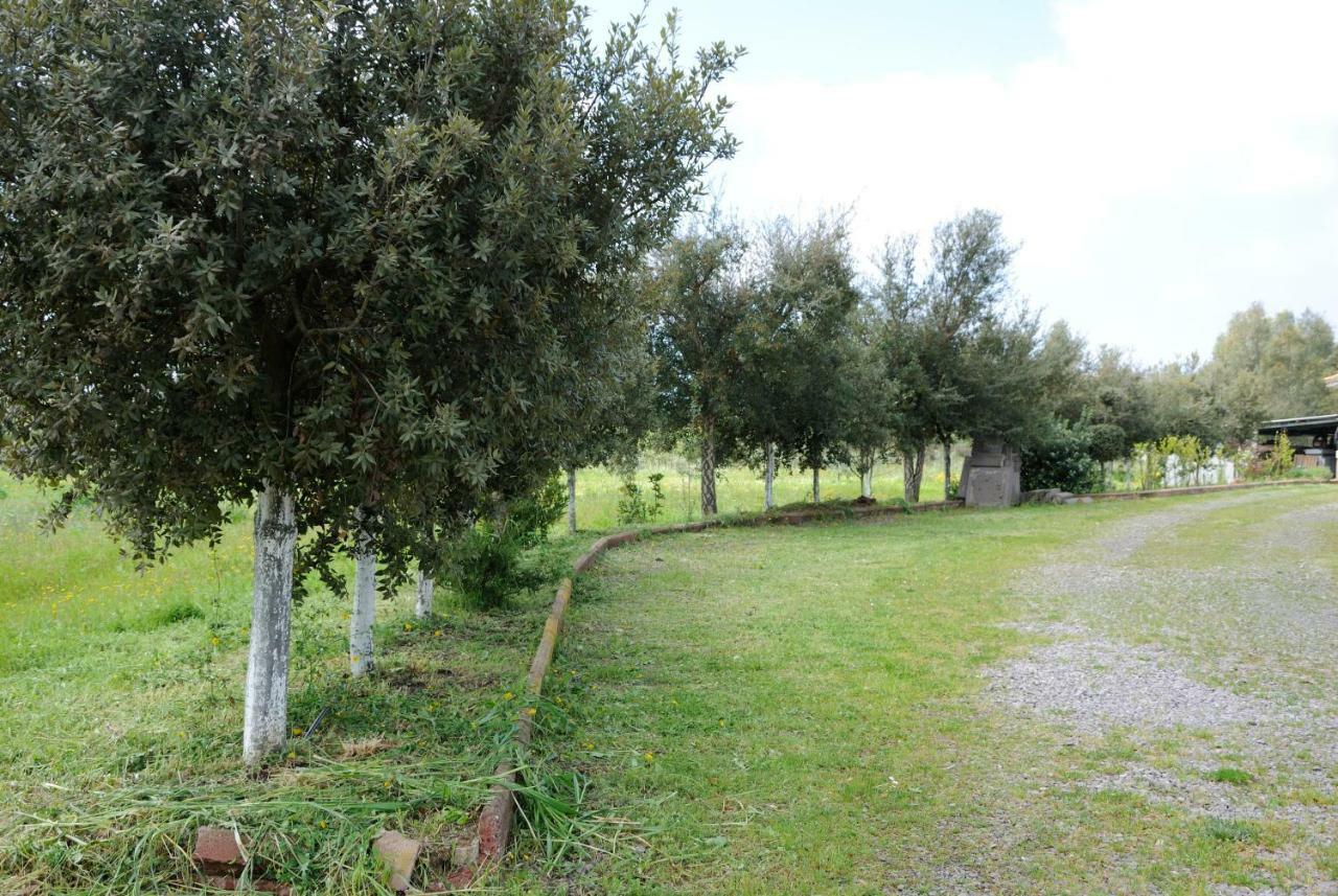 Ferienwohnung Tra Mare E Monti Santa Giusta Exterior foto